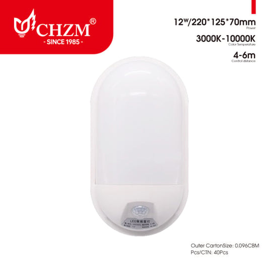 Induction wall light wholesale