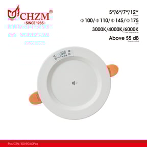 Induction downlight