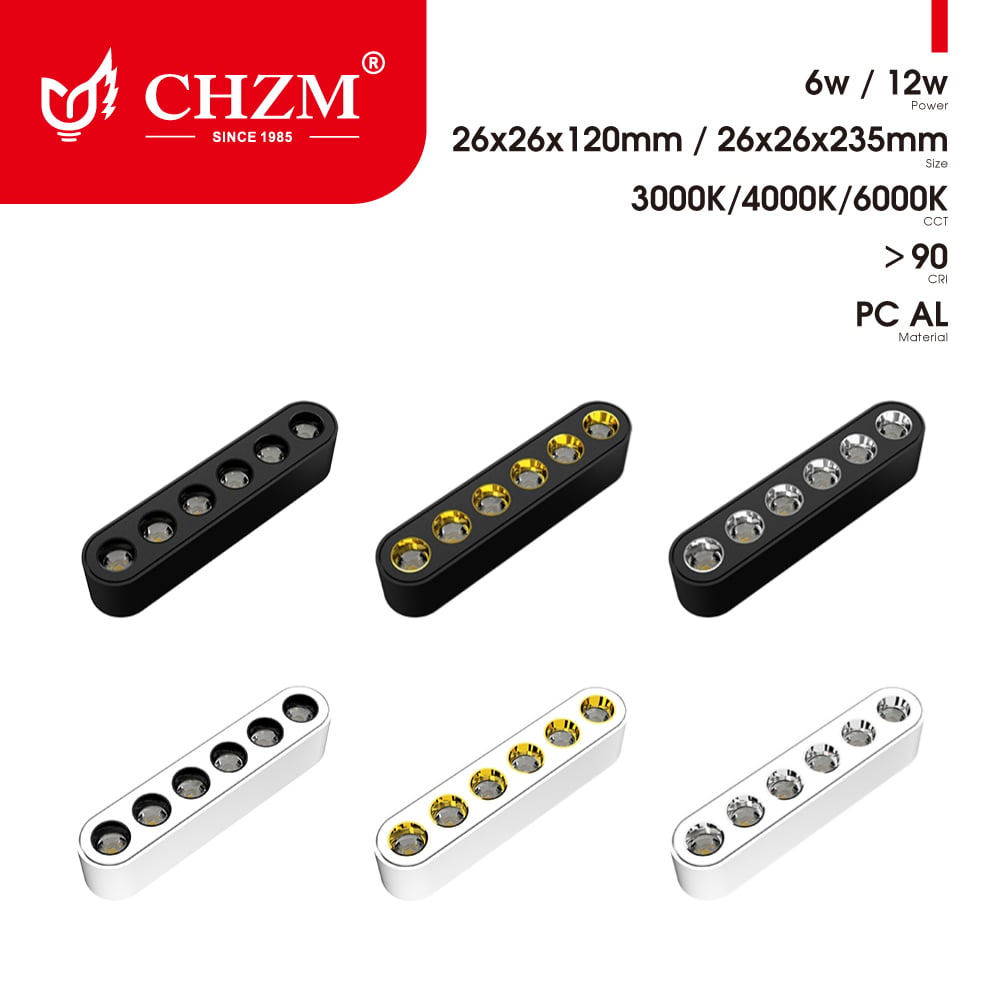Magnetic track light