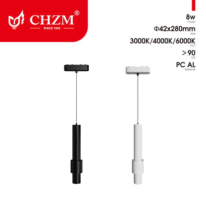 Magnetic track light