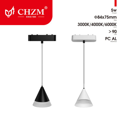 Magnetic track light
