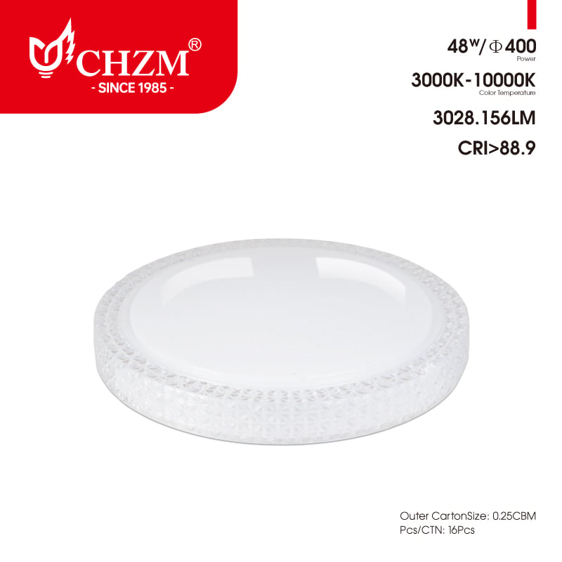 Modern LED Ceiling Light Fixture