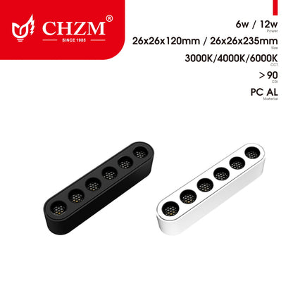 Magnetic track light