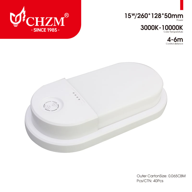 Induction wall light wholesale