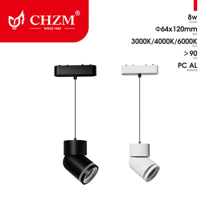 Magnetic track light
