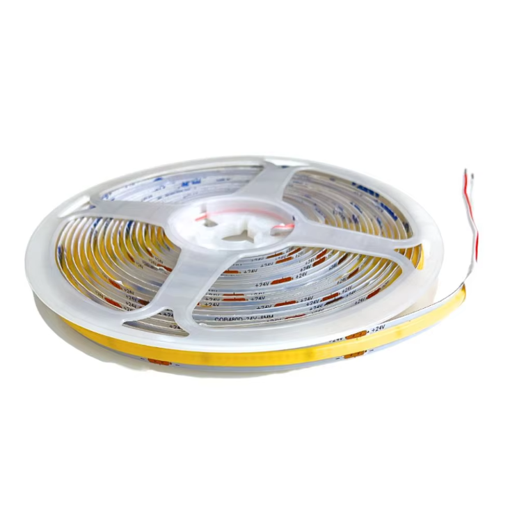 DC 24v/12v light strip