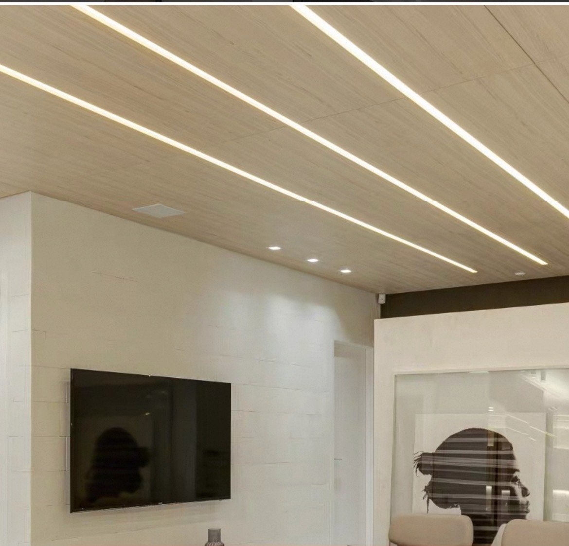 DC 24v/12v light strip